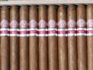 Montecristo Edmundo Dantes photo